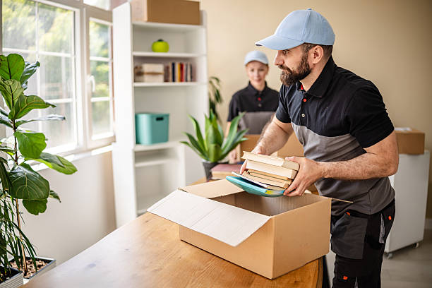 Professional movers packing books into a carton, Sakshi Gopal Packers and Movers in Jankipuram Lucknow